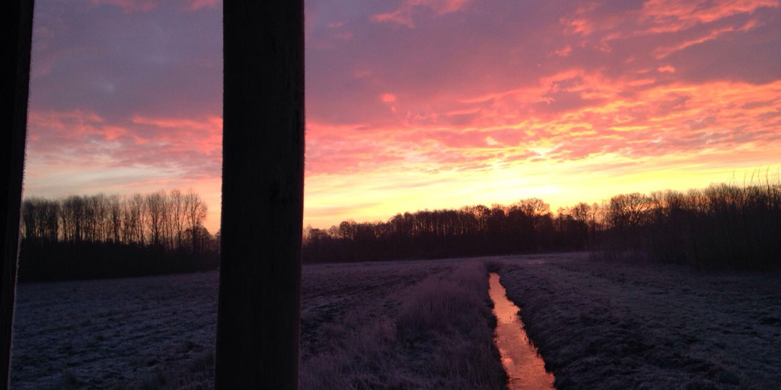 Gut Burghof Morgenröte mit Bach