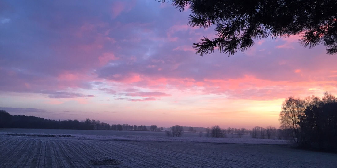 Gut Burghof Morgenröte 2