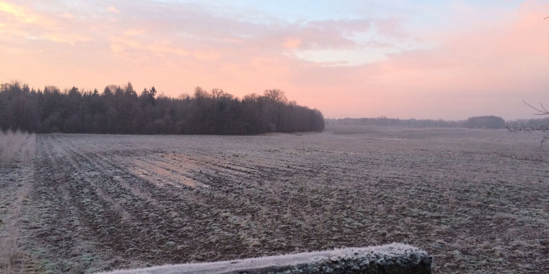 Gut Burghof Acker Morgen