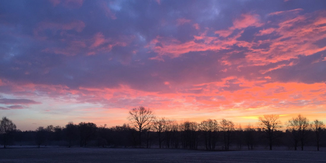 Gut Burghof Morgenröte Horizont 1